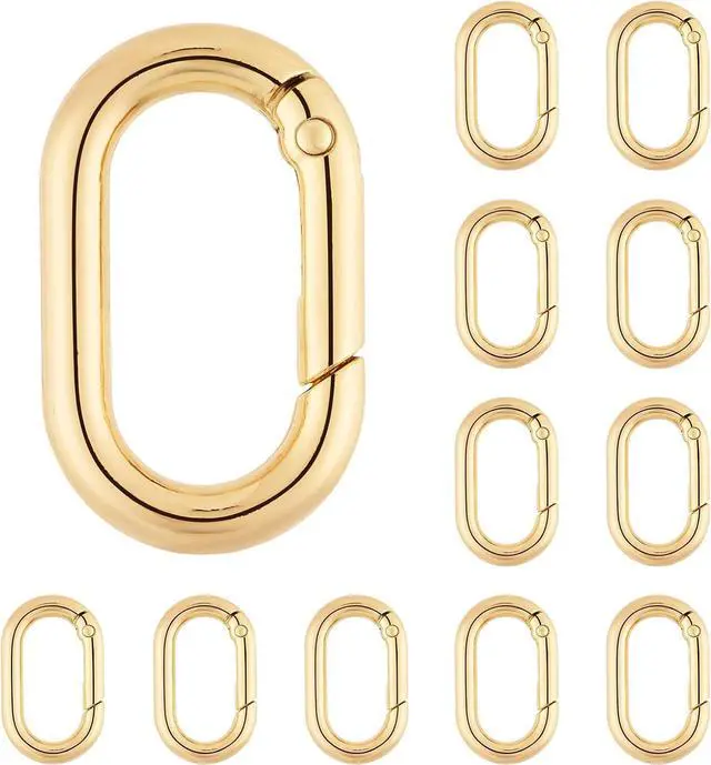 Main image of DEVPSISR 12Pack 1 Inch Small Carabiner Spring Hooks Metal Oval Clip for Purse Keychain Replacement,Climbing Hiking, Wallet,Car Key Rings