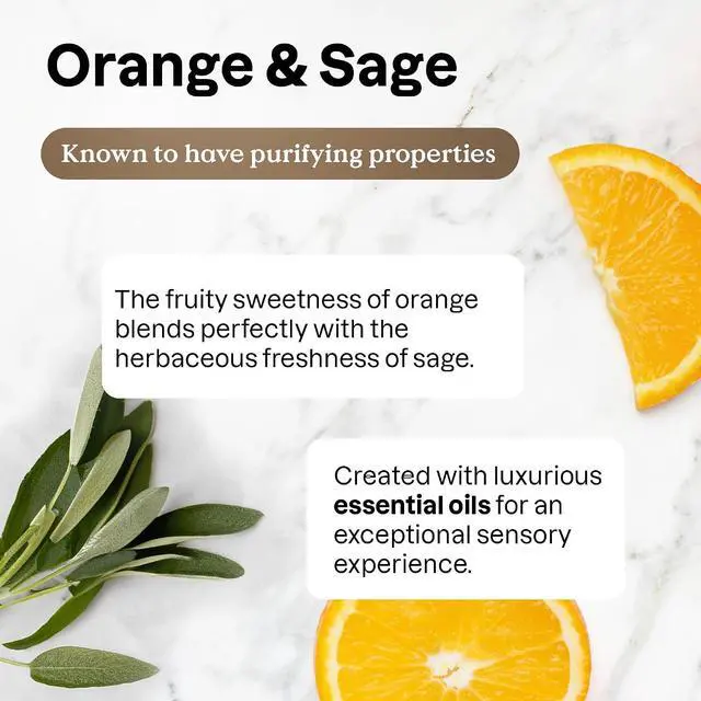 Alt view image 4 of 7 - ATTITUDE Dish Soap, Infused with Essential Oils, Plant-Based Ingredients, EWG Verified, Great for Clean and Sparkling Dishes, Vegan Dishwashing Liquid, Orange & Sage, 488 mL
