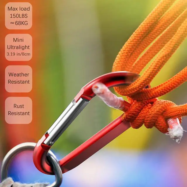 Alt view image 4 of 6 - sprookber 3" Carabiner Clip Keychain, D Ring Caribeaner Clip, Key Clip Caribeener, Spring Snap Hook for Bag/Buckle, Set of 10