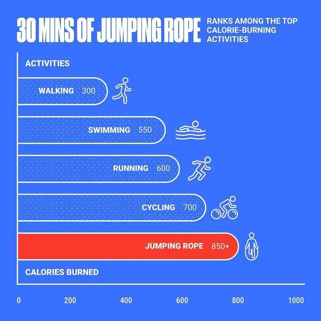 Alt view image 5 of 7 - SPORTBIT Adjustable Jump Rope for Fitness and Exercise | Fitness and Exercise, Cardio, Boxing, and Weight Loss, Speed Rope, Men & Women