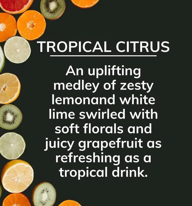 Alt view image 4 of 7 - Citrus Magic Auto Solid Air Fresheners, Tropical Citrus, 8 oz | On the Go Freshness for Cars, Odor Absorbing, Passive Diffusion, Odor Elimination Up to 4 Weeks Each