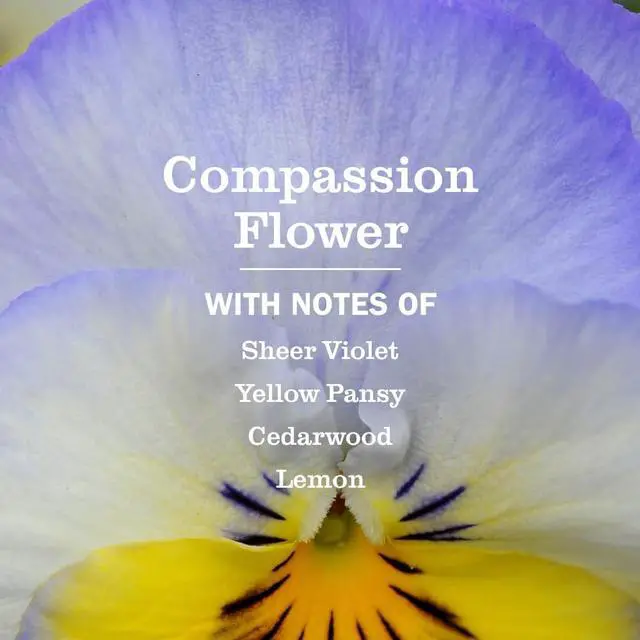 Alt view image 3 of 7 - MRS. MEYER'S CLEAN DAY Multi-Surface Concentrate, Compassion Flower, 32 oz | Dilute with Water for Powerful Cleaner, Makes Up to 16 Gallons per Bottle, Removes Dirt and Freshens Surfaces