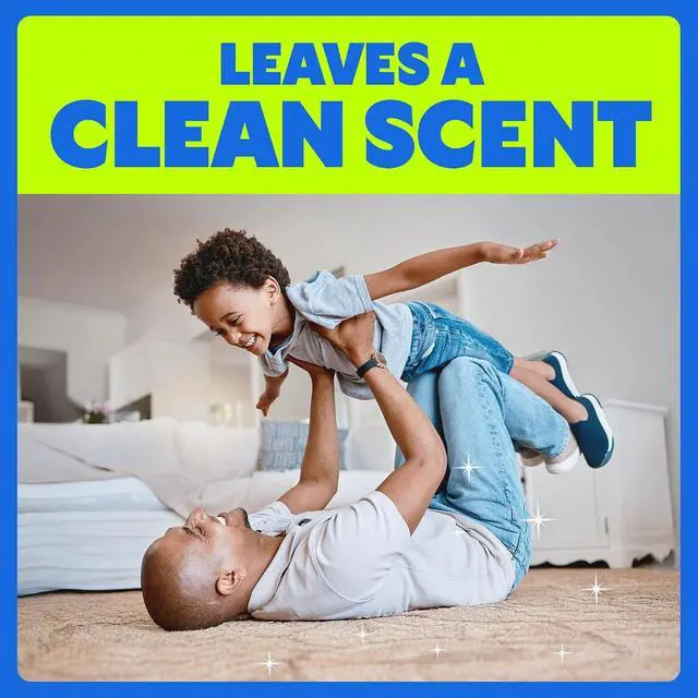 Alt view image 5 of 7 - Shout Carpet Set-In Stain Lifter Spray, Rug & Carpet Cleaner, Color Safe and Fast Acting Spot & Stain Remover, 22 oz Trigger Spray