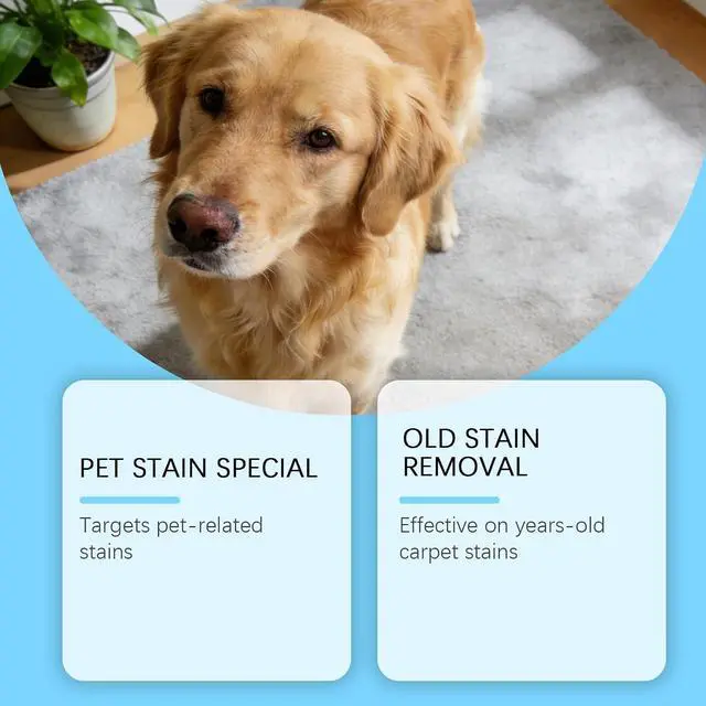 Alt view image 3 of 7 - Pet Stain & Strong Odor Eliminator, Dog Cat Pee Urine Destroyer - 5oz | Cleaner Spray for Pet Stain Remover, Urine, Poop, Pee, Deodorizer for Carpet, Upholstery, Air Freshener in Home & Car