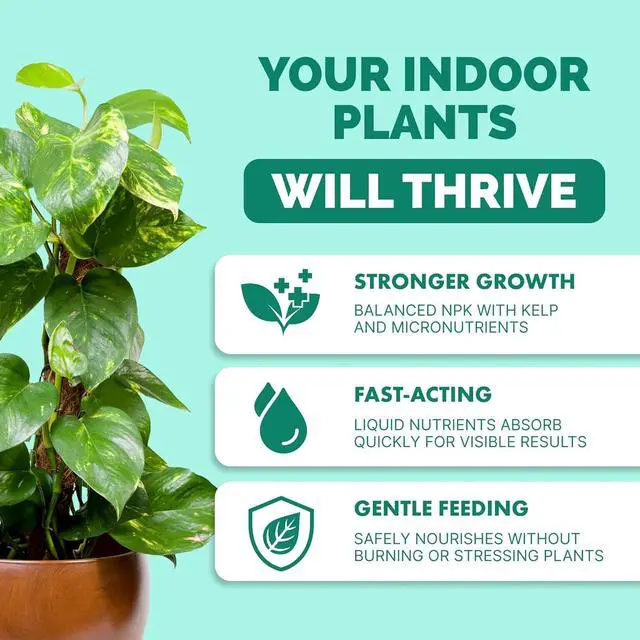 Alt view image 2 of 7 - Indoor Plant Food, Complete Liquid Fertilizer for Houseplants, 8oz | Encourages New Growth, Kelp-Enriched Formula, Liquid Concentrate, Gentle for Weekly Feeding, All Indoor Plant Varieties