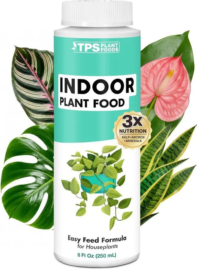 Main image of Indoor Plant Food, Complete Liquid Fertilizer for Houseplants, 8oz | Encourages New Growth, Kelp-Enriched Formula, Liquid Concentrate, Gentle for Weekly Feeding, All Indoor Plant Varieties