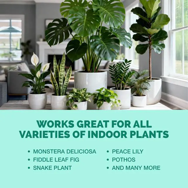 Alt view image 6 of 7 - Indoor Plant Food, Complete Liquid Fertilizer for Houseplants, 8oz | Encourages New Growth, Kelp-Enriched Formula, Liquid Concentrate, Gentle for Weekly Feeding, All Indoor Plant Varieties