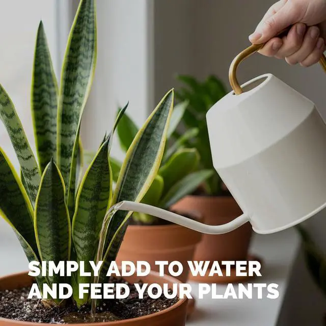 Alt view image 5 of 7 - Indoor Plant Food, Complete Liquid Fertilizer for Houseplants, 8oz | Encourages New Growth, Kelp-Enriched Formula, Liquid Concentrate, Gentle for Weekly Feeding, All Indoor Plant Varieties