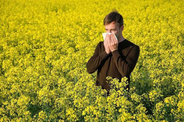 Alt view image 7 of 7 - Nuage Hayfever Relief Wipes, Resealable Pack