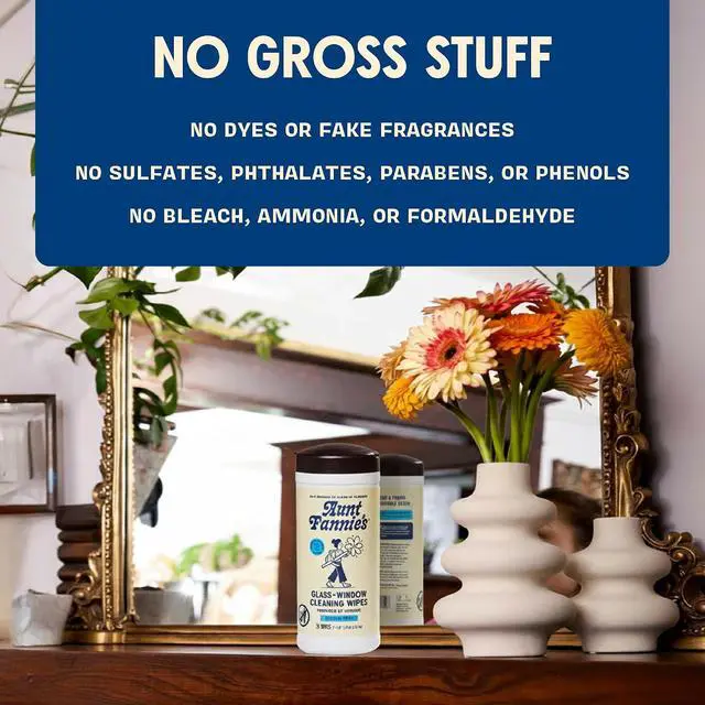 Alt view image 7 of 7 - Aunt Fannie's Glass & Window Cleaning Wipes, 35 Count, Pack of 1 | Fast-Drying Formula, Removes Smudges, Safe for Mirrors Windows Shower Doors & Other Glass, Kid and Pet Safe, Made in USA