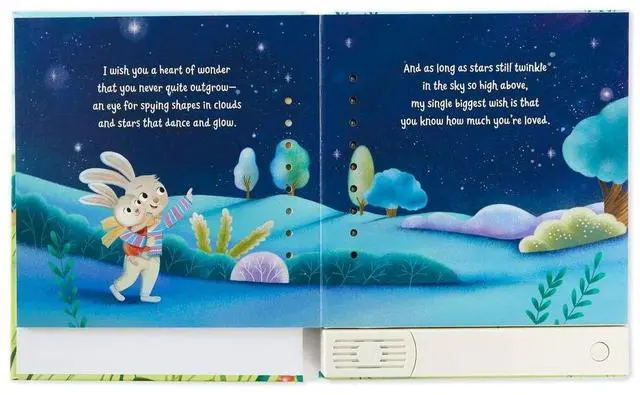 Alt view image 4 of 5 - HMK My Wish for You Recordable Storybook