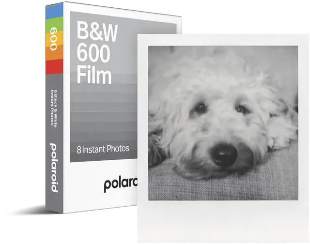 Main image of B&W Film for 600 (6003) | B&W Film for 600 (6003)