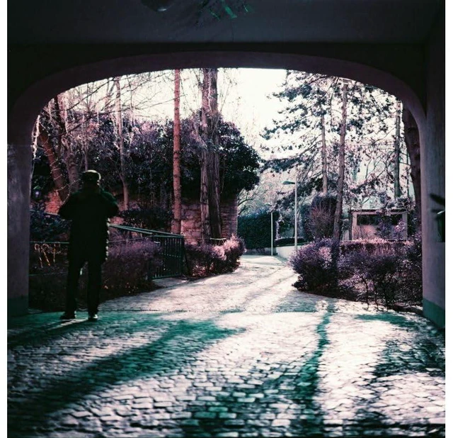 Alt view image 4 of 4 - LomoChrome Purple Pétillant (120)