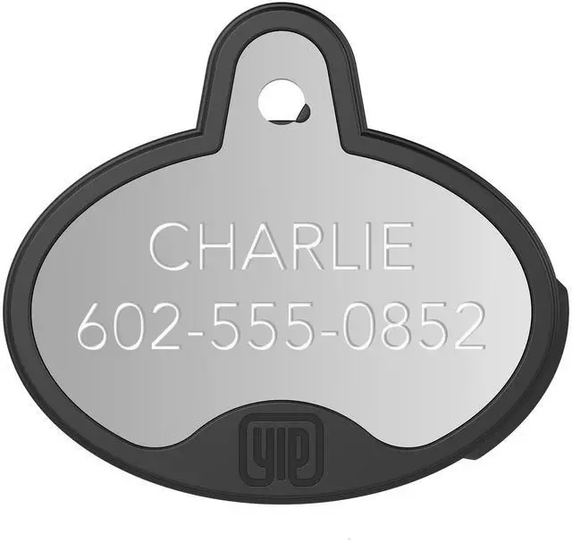 Main image of ID Custom Engraved Locator - Works with Apple Find My (No GPS Subscription Or Monthly Fee) Personalized Tracker Device, Silver Oval