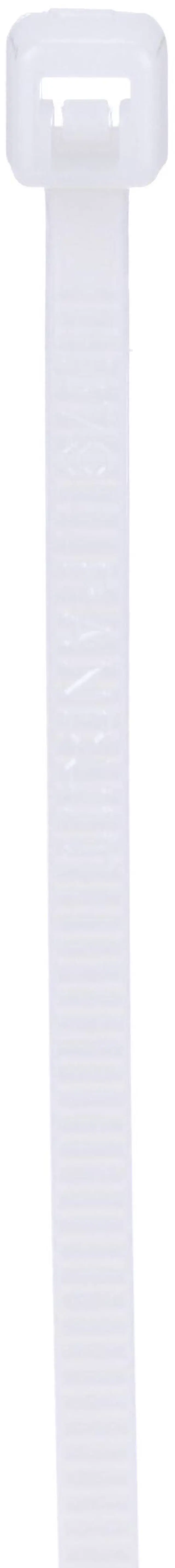 Main image of PLT1M-C Cable Tie, Miniature, Nylon 6.6, 3.9-Inch Length, Natural (100-Pack)