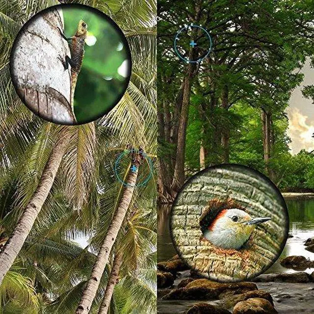Alt view image 3 of 7 - 16x52 Monocular Dual Focus Optics Zoom Telescope for Birds Watching/Wildlife/Hunting/Camping/Hiking/Tourism/Armoring/Living Concert 66m/8000m