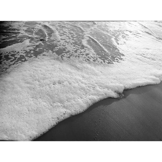 Alt view image 3 of 6 - Tri-X 400 Black & White Negative Film | 35mm Roll Film | 36 Exposures Per Roll, Classic Grain Structure and Fine Grain| 3 Rolls with Microfiber Cloth
