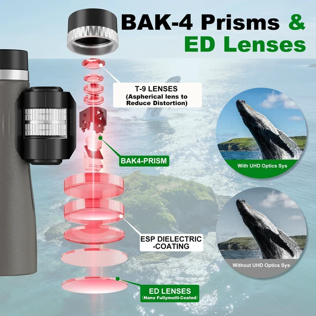 Alt view image 3 of 7 - 12X50 Professional Binoculars for Adults, High Powered HD Binoculars BAK4 Prism, FMC Lens, HD Vision, Low Light Vision, Waterproof, Large View, Metal Focus Wheel, Bird Watching, Hunting, Outdoor