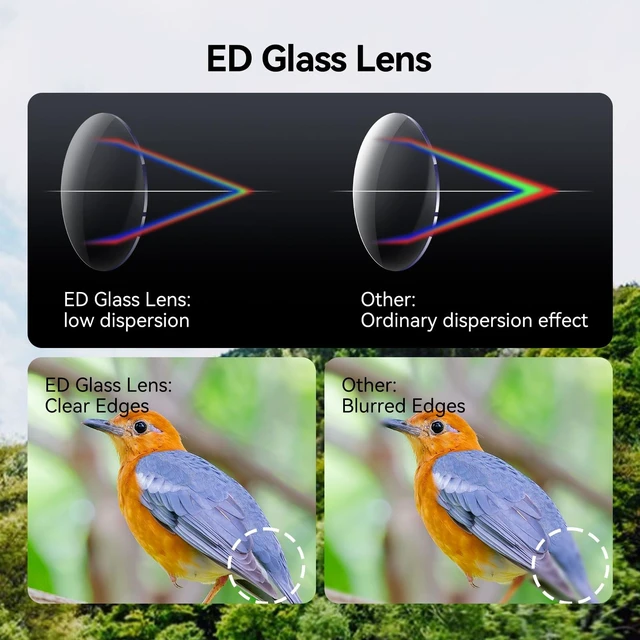 Alt view image 3 of 7 - Upgraded SV202 8x32 Binoculars for Birdwatching, Lightweight ED Lens Extra-Low Dispersion, Clearer in Low Light, 7.8° Wide View Angle, Waterproof, Long Eye Relief, Compact Binoculars for Adults