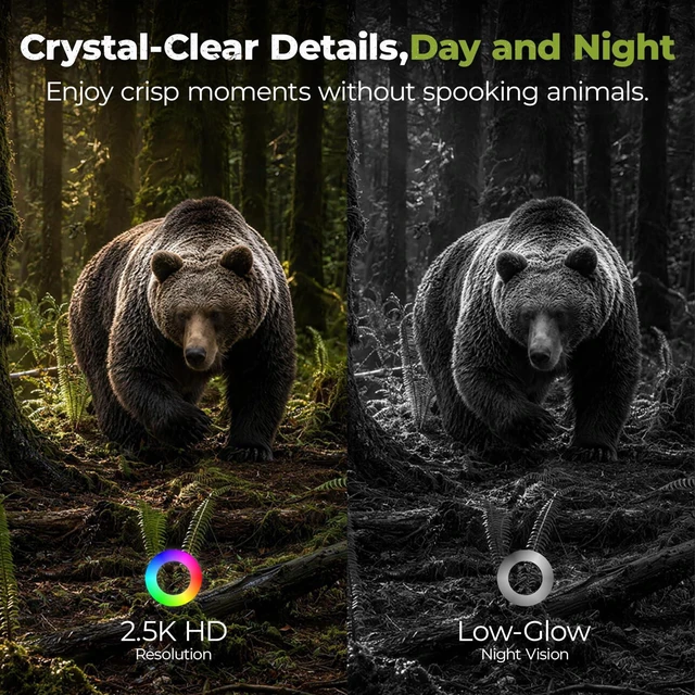 Alt view image 6 of 7 - 4G LTE Cellular Trail Cameras, 2.5K 360° Live Always-On-Video Recording Solar Powered Game Camera with Night Vision Motion Activated Waterproof, Built-in SIM Card, No WiFi Needed Security Cam 2 Pcs