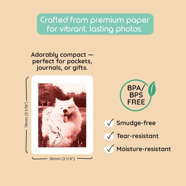 Alt view image 5 of 5 - kiimento Print Refill Pack for Model P2 Instant Print Pro Camera 120 Ink-Free Thermal Print Cards (4 Styles, 30 Each) BPA & BPS Free Camera Not Included