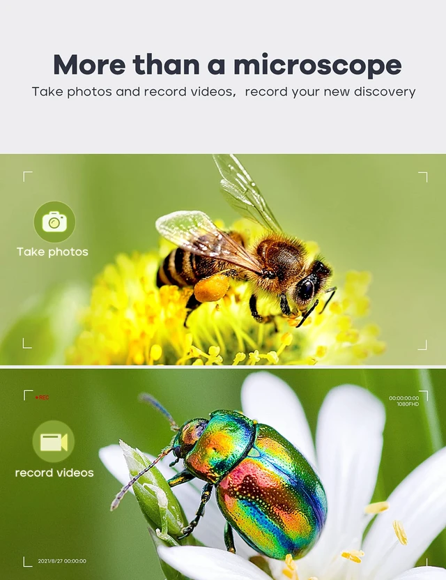 Alt view image 6 of 7 - 7" LCD Digital Microscope 1200X,12MP Coin Microscope with Screen 1080P Coin Magnifier with 12pcs Slides,Wired Remote,2 Side Lights,Windows/Mac OS Compatible