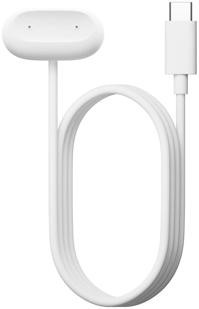 Main image of Google Air Charger - Only Compatible with Google Air Get a full day of charge in 5 minutes, USB-C charger, requires a USB-C compatible power adapter