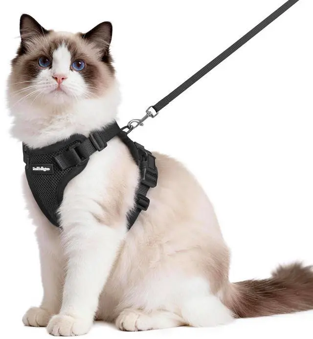 Main image of Cat Harness and Leash Set, Escape Proof Vest, Black