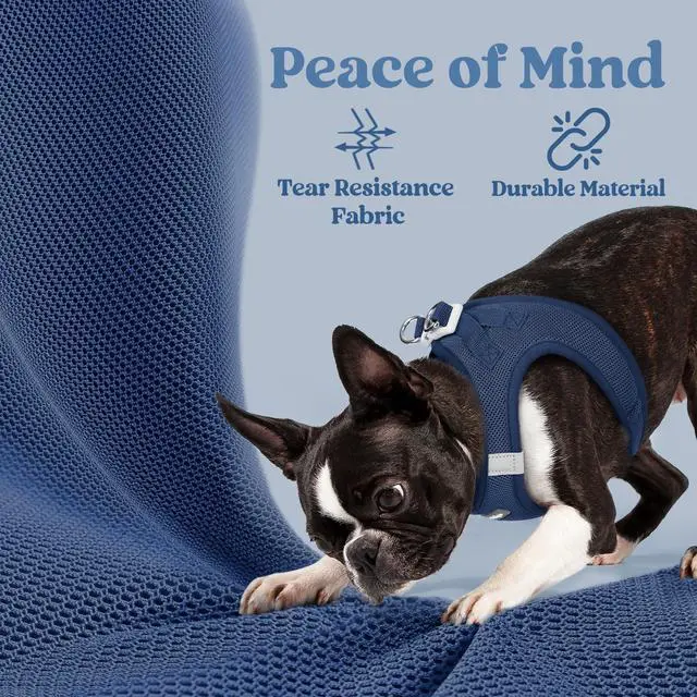 Alt view image 5 of 7 - Step-in Small Dog Harness, Puppy Vest for Small Sized Pet