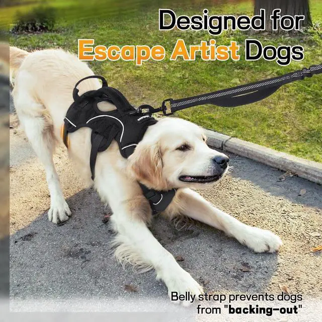 Alt view image 2 of 7 - Escape Proof Dog Harness for Large, No Pull with Lift Handle