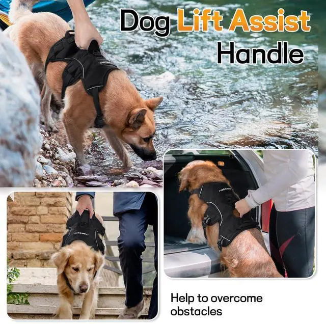 Alt view image 3 of 7 - Escape Proof Dog Harness for Large, No Pull with Lift Handle