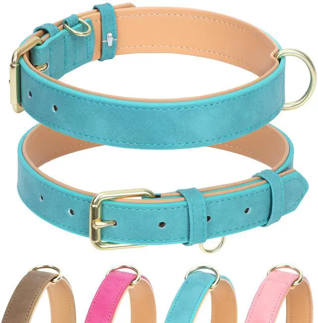 Main image of Soft Padded Leather Dog Collar for Large Dogs (Teal, 15-20.5")