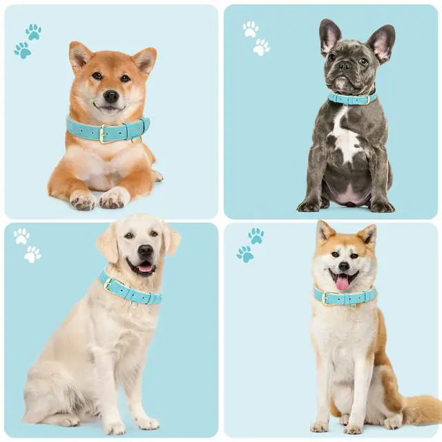 Alt view image 3 of 6 - Soft Padded Leather Dog Collar for Large Dogs (Teal, 15-20.5")