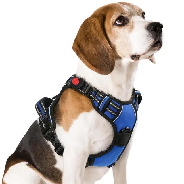 Main image of Dog Harness Medium Sized, Updated Easy On & Off with 3 Buckles