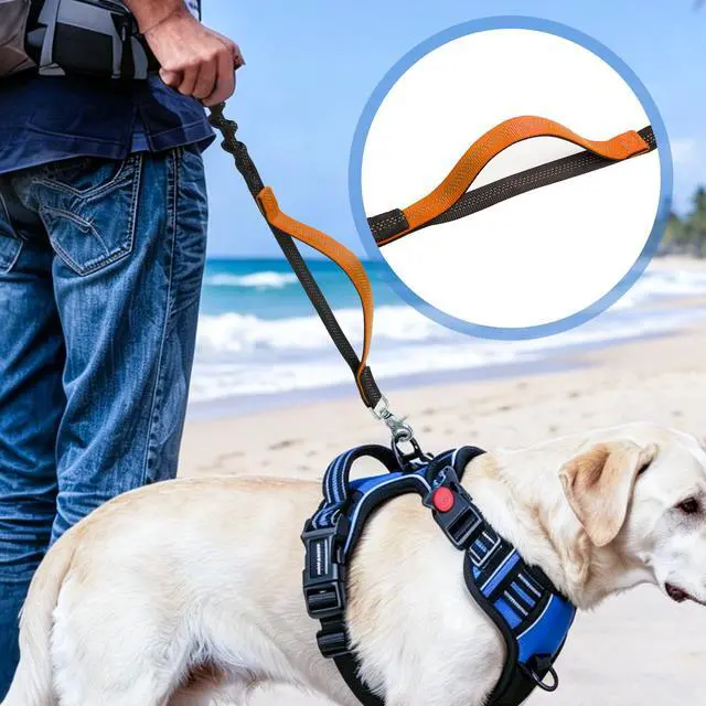 Alt view image 7 of 7 - Dog Leash Compatible with rabbitgoo Dog Harness,Reflective for Night Safety