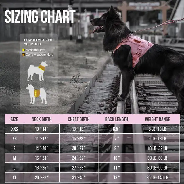 Alt view image 2 of 7 - Tactical Dog Harness Vest,No-Pull Service Dog Vest with Hook & Loop Panels,Adjustable Dog Vest Harness for Walking Hiking Training(Pink,L)