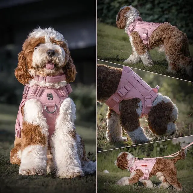 Alt view image 7 of 7 - Tactical Dog Harness Vest,No-Pull Service Dog Vest with Hook & Loop Panels,Adjustable Dog Vest Harness for Walking Hiking Training(Pink,L)