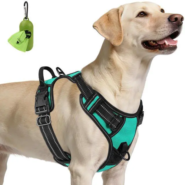 Main image of No Pull Dog Harness for Large Dogs, Front Clip, Teal