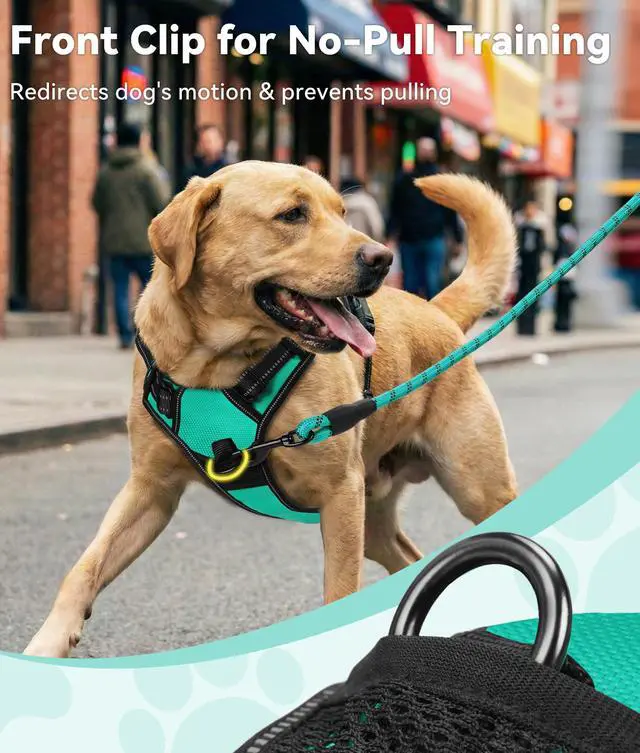 Alt view image 2 of 6 - No Pull Dog Harness for Large Dogs, Front Clip, Teal