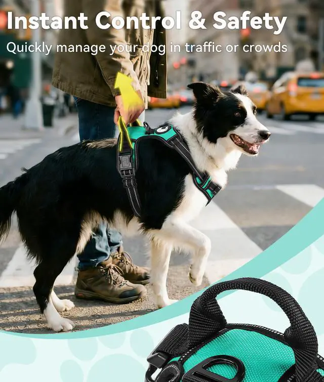 Alt view image 3 of 6 - No Pull Dog Harness for Large Dogs, Front Clip, Teal