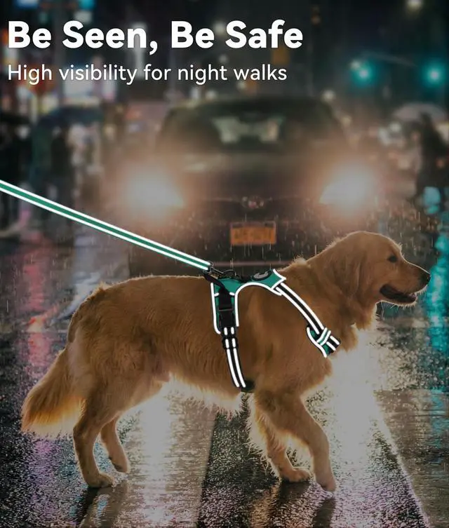 Alt view image 5 of 6 - No Pull Dog Harness for Large Dogs, Front Clip, Teal