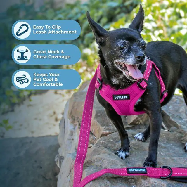 Alt view image 5 of 7 - Voyager Step-in Flex Adjustable Dog Harness - Fuchsia, Medium
