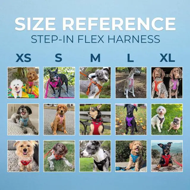 Alt view image 6 of 7 - Voyager Step-in Flex Adjustable Dog Harness - Fuchsia, Medium