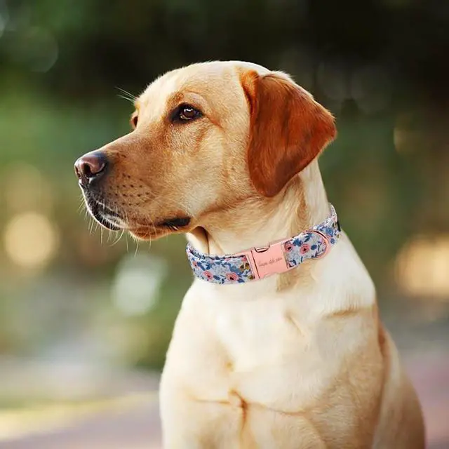 Alt view image 3 of 6 - Dog Collar Metal Buckle Red Rose Puppy Collar Flower Gift Durable Cute for Small Medium Large Boys Girls Dogs