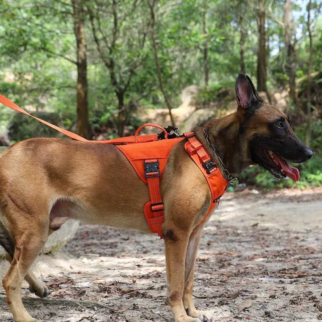 Alt view image 2 of 4 - Quick-Moving Tactical Dog Harness for Large Dogs,No Pull Dog Vest