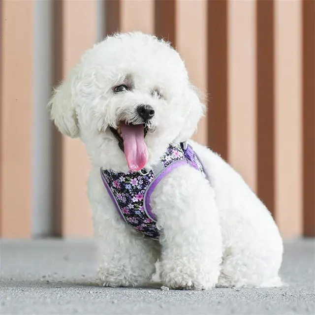 Alt view image 7 of 7 - Step in Dog Harness No Pull Flower Adjustable Soft Mesh Harness