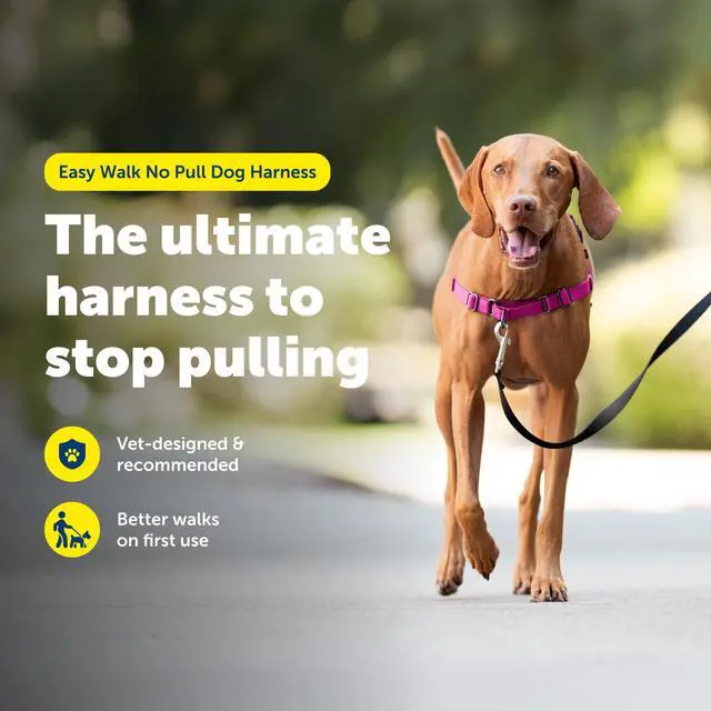 Alt view image 2 of 7 - Easy Walk Harness, No Pull Dog Harness, Medium, Raspberry