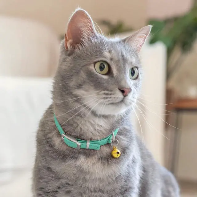 Alt view image 6 of 6 - Soft Leather Cat Collar with Safety Elastic Strap - Mint Green