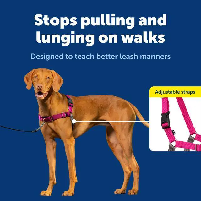 Alt view image 3 of 7 - Easy Walk Harness, No Pull Dog Harness, Medium, Raspberry