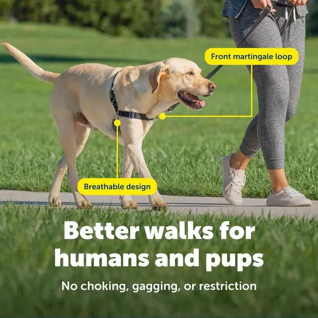 Alt view image 4 of 7 - Easy Walk Harness, No Pull Dog Harness, Medium, Raspberry